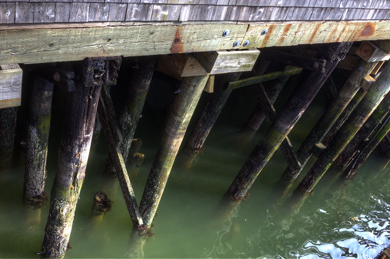 Barking Crab Supports, Boston Harbor, Boston, Massachusetts