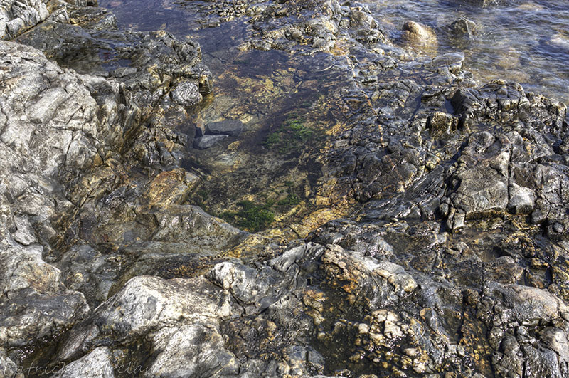 Cracked Shoreline, Seawall, Acadia, Maine