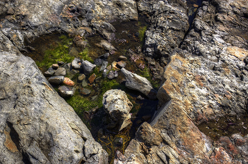 Living Pond, Seawall, Acadia, Maine