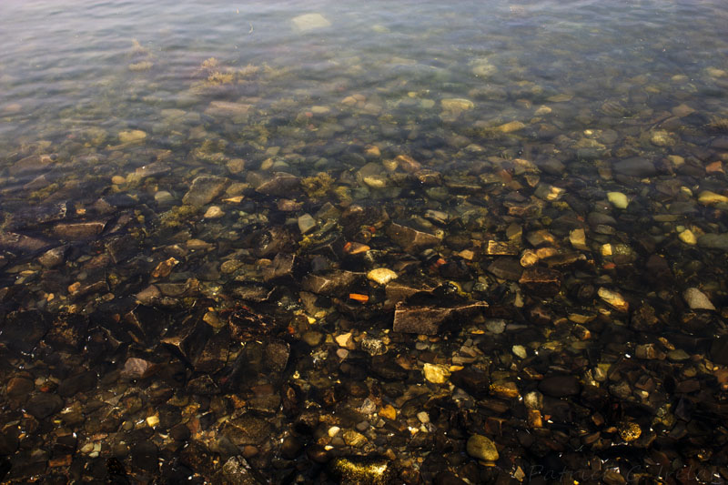 Rocky Shore, Bar Harbor, Maine - Small