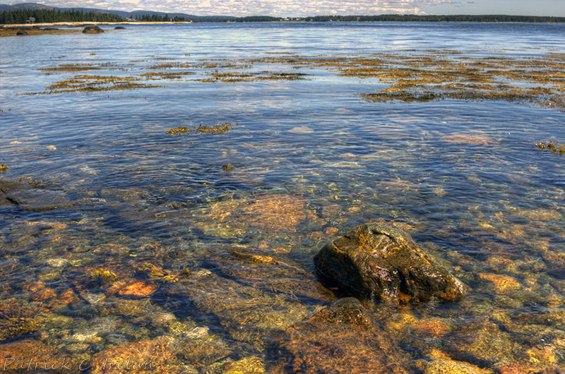 Swampy Shoals, Seawall, Acadia, Maine