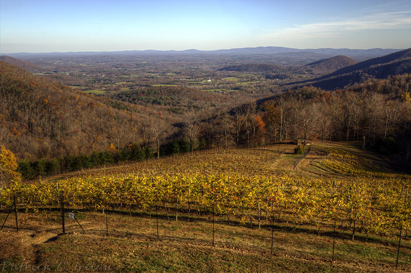 View from Stone Mountain Vinyard, Dyke, Virginia