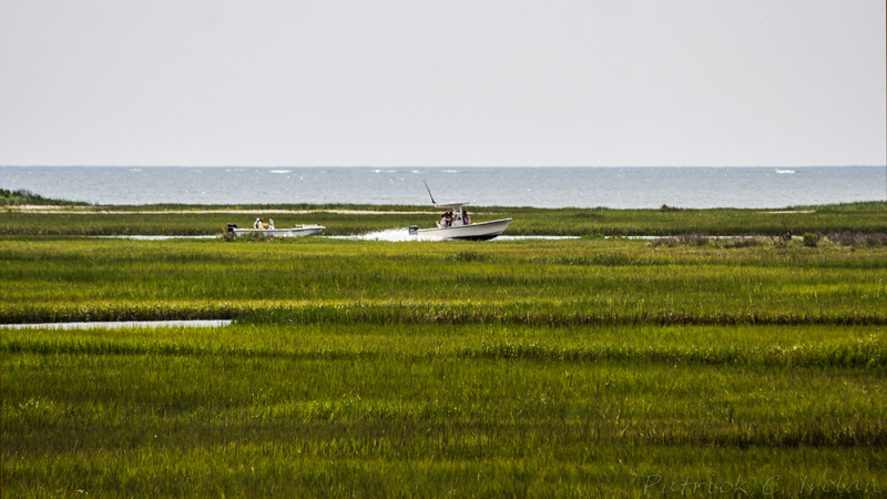 Cutting Through the Marsh, Eastern Shore of Virginia National Wildlife Refuge