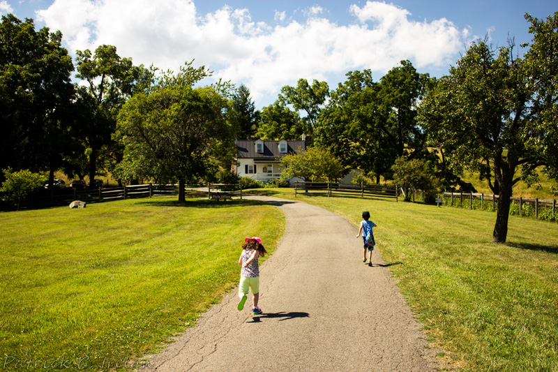 Eager for Adventure, Sky Meadows State Park, Virginia