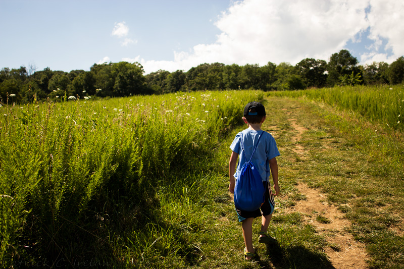 Hiking up the Mountain, Sky Meadows State Park, Virginia