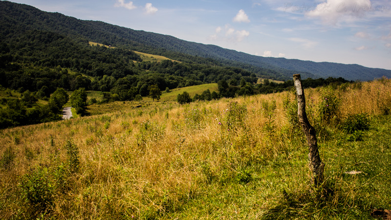 Trail Blaze, Appalachian Trail Near Ceres, Virginia