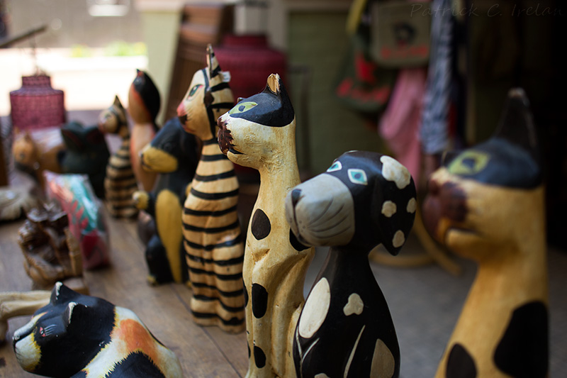 Wooden Cats, Charlottesville, Virginia